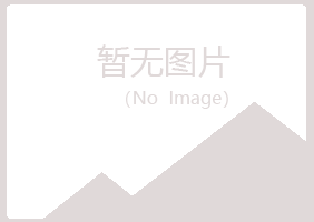 偃师映波金属有限公司